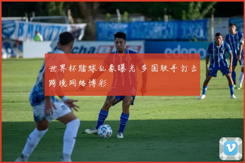 世界杯赌球乱象曝光 多国联手打击跨境网络博彩