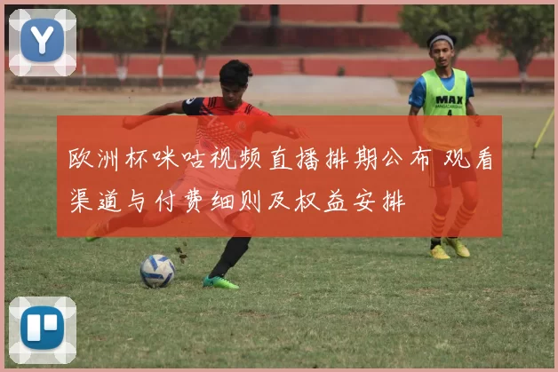 欧洲杯咪咕视频直播排期公布 观看渠道与付费细则及权益安排