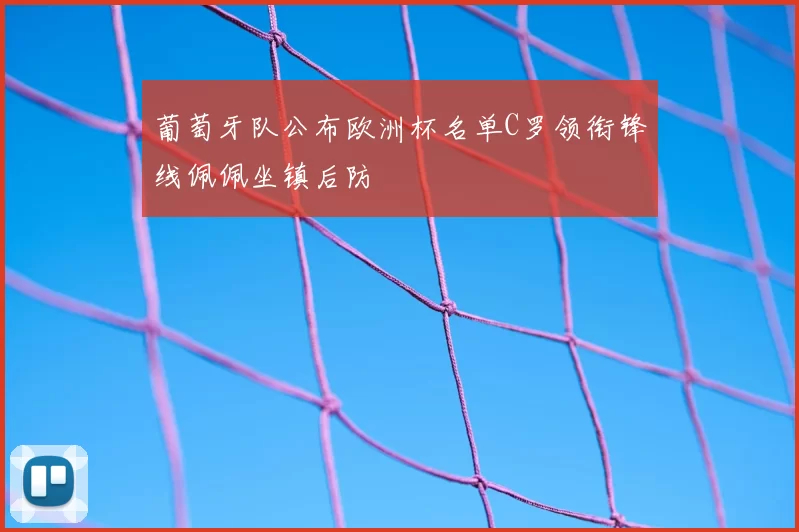 葡萄牙队公布欧洲杯名单C罗领衔锋线佩佩坐镇后防